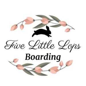 699f4fe5 D1c3 4876 Abc5 06881d1b0fb0 300x300